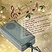 Holiday Essence - Set of 140 Indoor Multi-Color Musical Christmas Lights - Plays 25 Classical Holiday Songs - 8 Function Chaser - Green Wire - 31.2 Ft Wire Length, 2
