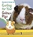 Gordon's Guide to Caring for Your Guinea Pigs (Young Explorer: Pets' Guides) by Isabel Thomas