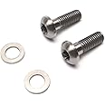 TAKEWELL Titanium Flat Mount Disc Bolts T25 15mm 2 Pcs for SRAM Flat Mount Frame Disc Caliper Bracket (TI T25 15mm)