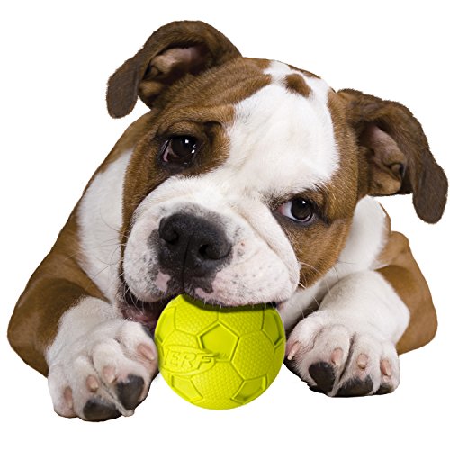 Nerf Dog Soccer Ball Dog Toy with Interactive Squeaker, Lightweight
