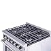 Thor Kitchen LRG3001U Freestanding Style Gas Range with 4.55 Cubic Feet Oven, 5 Burners, Convection Fan, 30- Inch