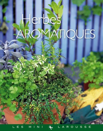 Herbes Aromatiques Jardin