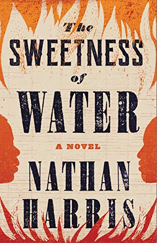 The Sweetness of Water A Novel | amzdealz