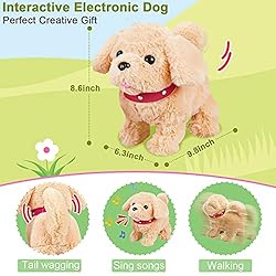 Koonie Walking Toy