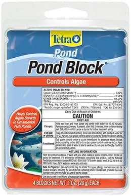 Pond Anti-Algae Block, 4-Ct.