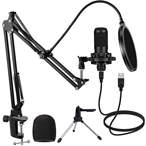 HAIPUSEN USB Kondensator Mikrofon für PC Studio mit Stativ und Arm, Professionelle Podcast-Mikrofonsets 192kHZ/24bit für…