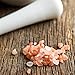 The Spice Lab Pink Himalayan Salt - Gourmet Pure Crystal - Nutrient and Mineral Fortified for Health - Kosher and Natural Certified (1 Kilo Coarse Refill Bag)