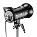 Neewer® 300W 5600K Bowens Mount Photo Studio Strobe Flash Light Monolight with Lamp Head for Studio,Location and Portrait Photography (SK300)