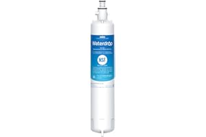 Waterdrop Replacement for GE® RPWFE®, RPWF (Built-in CHIP) Refrigerator Water Filter, Compatible with GFE28GYNFS, GFE28GELDS, PFE28KELDS, PFE28KYNFS, GFD28GELDS, PWE23KELDS, PWE23KMKES