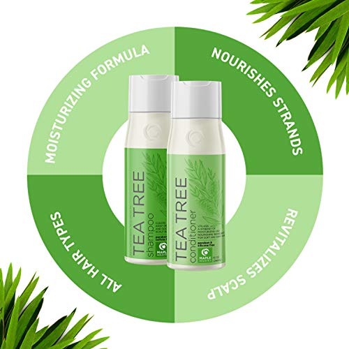 Tea Tree Shampoo and Conditioner for Color Treated Hair ...