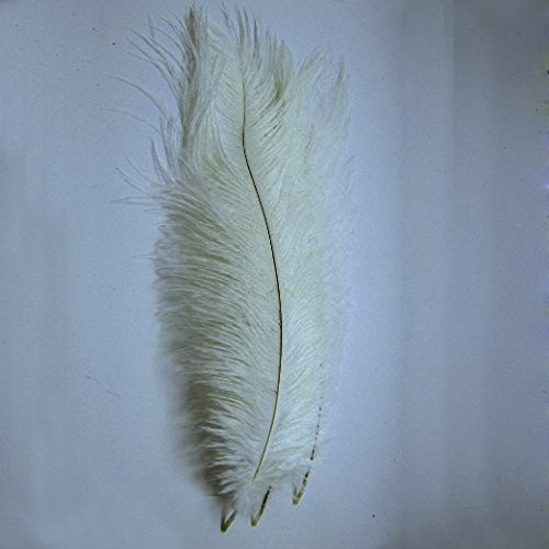 KOLIGHT10pcs Ostrich Feather White 12"-14" Natural Feathers Wedding, Party ,Home ,Hairs Decoration