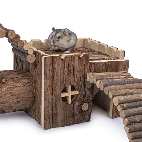 hamster tunnel system