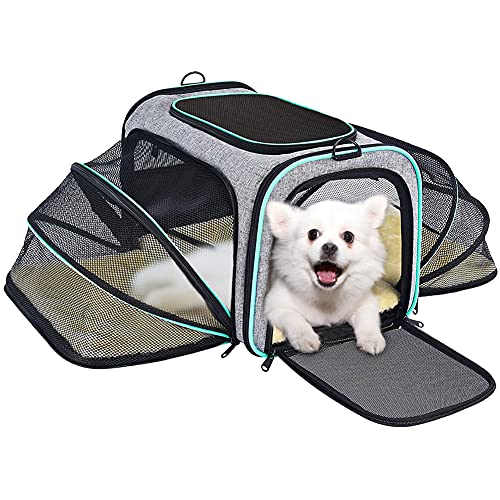 Small Pet Carrier Expandable Cat Carrier Airline Approved, Dog Carriers