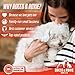 Rocco & Roxie Jerky Dog Treats Made in USA Healthy Treats for Potty Training High Value Real Meat Slow Roasted Snacks for Small, Medium & Large Dogs & Puppies Soft Chews, 1 Pound (Pack of 1)