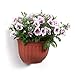 T4U Resin Wall Planter Brick Red Set of 4, Wall Mounted Garden Plant Flower Pot Basket Container Indoor Outdoor Use for Orchid Herb Aloe Succulent Cactus Home Office Porch Wall Decoration Giftthumb 1