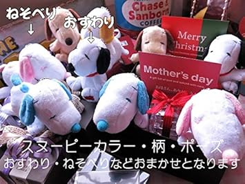 amazon 結婚祝い 友達 スヌーピー入り 花 箱を開けてサプライズ スヌーピー入り 横長ボックス プリザーブドフラワー入り スヌーピーカラーはお任せとなります プリザーブドフラワー オンライン通販