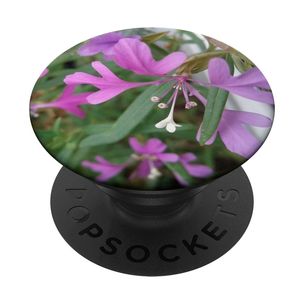 Elkhorn Clarkia - Clarkia pulchella flower PopSockets Swappable PopGrip