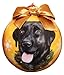 Black Lab Christmas Ornament Shatter Proof Ball Easy To Personalize A For Black Lab Lovers