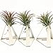 Pack of 3 Tabletop Standing Air Plant Holder Air Plant Stand Air Plant Container Xerographica Air Plant Holder Air Plant Support Tillandsia Air Plant Standthumb 2