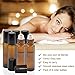 Pack of 6, 10ml Amber Glass Roll On Bottles With Stainless Steel Roller Ball for Essential Oil, Aromatherapy by Mavogel - 3 Extra Stainless Steel Ball and 1 Essential Oils Opener Included