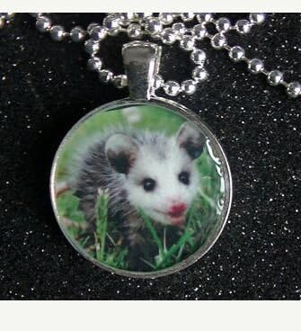Opossum Necklace Adorable Pink Nosed Baby Opossum Silver Resin Metal Round Pendant Necklace