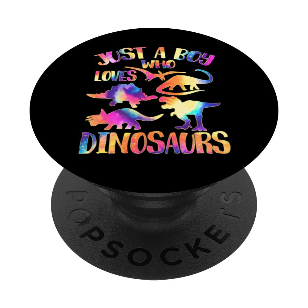 Just a Boy Who Loves Dinosaurs - Tie Dye Dinosaur Theme Boys PopSockets Swappable PopGrip