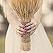 GTIDEA Large Golden Dried Natural Wheat Sheave Bundle Premium Spring Arrangements Full Wholesale DIY Home Kitchen Table Wedding Centerpieces Decorative