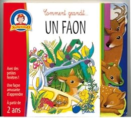 Un  faon