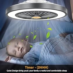 22'' Ceiling Fans with Lights and Remote, DC Motor