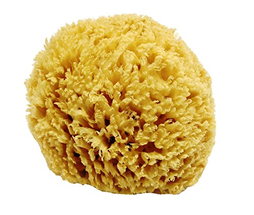 Unbleached honeycomb natural sea sponge - strong and du…