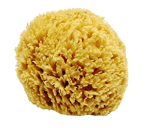 Unbleached Honeycomb Natural Sea Sponge - Strong and durable - suitable for both children and adults, for use in bathing, cleansing, exfoliating and applying cosmetics