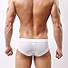 Astarin Mens Cotton Stretch Low Rise Modal Underwear Briefs Pack (Large, 7 Pack)