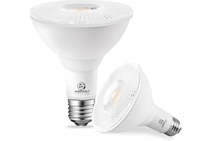 ENERGETIC SMARTER LIGHTING Energetic PAR30 LED Bulbs, Flood Light Outdoor Indoor 10 Watt (75 Watt Equivalent), 3000K Warm White, 1000 Lumens, E26 Base, Dimmable, Waterproof LED Recessed Light Bulbs for Security (2 Pack)