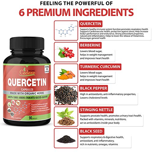 Quercetin Capsules 1900mg, 3 Months Supply with Turmeric, Berberine, Stinging Nettle, Black Seed