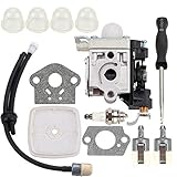 Dxent PB250LN Carburetor with Air Filter Adjustment Tool for Echo PB250 ES250 PB-250 PB-250LN ES-250 Blower RB-K106 Carb A021003660 A021003661