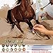 iCoostor DIY Painting Paint by Numbers for Adults with Brush, Paint by Numbers Kit for Adults Beginner, Running Horse Pattern 16x20inch