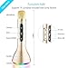 VERKB Rainbow Mic, Wireless Microphone Karaoke(3rd Generation), 3-in-1 Bluetooth Karaoke Machine KTV for Apple iPhone Android Smartphone and Pc(Light Gold)