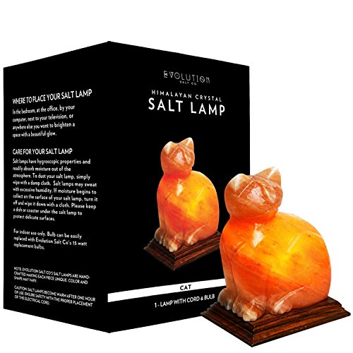 Evolution salt salt lamp 6lb turtle hmly (609224875694)