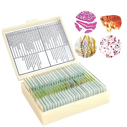 Microscope Slides Reading Microscope Slides with Specimens for Kids, Prepared Microscope Slides ...