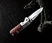 KUBEY Mini Folding Knife, Compact EDC and Gentleman's Pocket Knife with Wooden Handle for Camping Hunting and DIY (KU112)