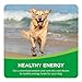 IAMS Proactive Health Minichunks Adult Dry Dog Food with Real Chicken, 15 lb. Bag