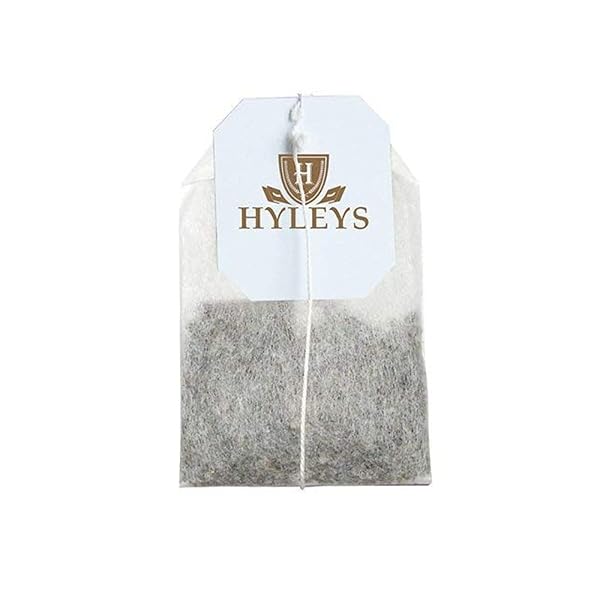 HYLEYS ORGANIC GREEN TEA, ACAI BERRY AND BLUEBERRY FLAVOR, 25 INDIVIDUALLY WRAPPED TEA BAGS – USDA ORGANIC – KOSHER & VEGAN