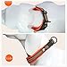 PETTOM Martingale Dog Collar for Small Medium Large Dogs, Reflective Chain Dog Training Collar with Quick Release Buckle, Adjustable Steel Nylon No Pull Pet Collar for Dog