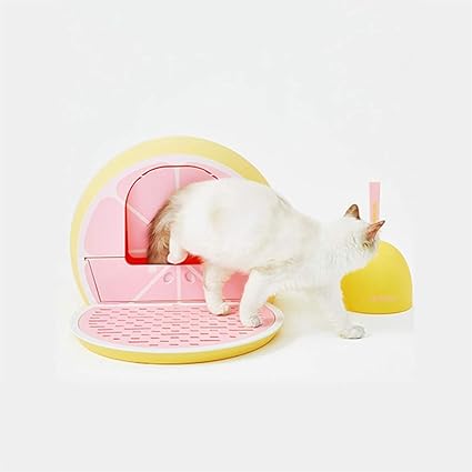 Ci Joint Litiere Forme Pan Pamplemousse Beau Gros Chat Bac A Litiere Chat Litiere Pour Chat Litiere Chat Autonettoyante Litiere Pour Chats Autonettoyante Avec Litiere Scoop Amazon Fr Cuisine Maison