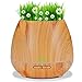 Miserwe Diffuser Aromatherapy Essential Oil Diffuser Planter for Home Office Bedroom Nursery - 550ML Planting Platform 4 Timer Settings 7 Color LED Lights Cool Mist Auto Shut-Off