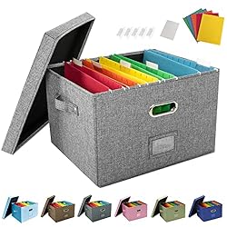 JSungo File Box with 5 Hanging Filing