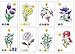 Chameleon Art Products, Chameleon Color Cards - Flowers