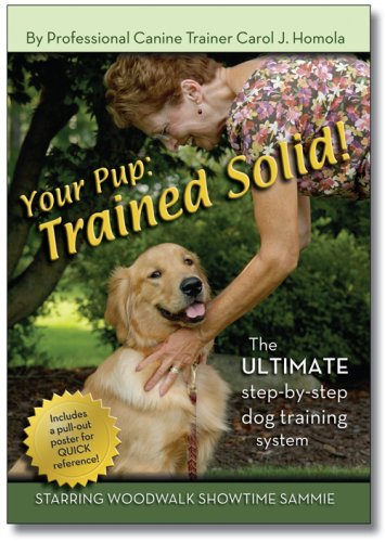 solid canine training