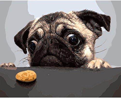 DIY Oil Painting, Paint by Number Kit for Home Wall Decoration Art Gift Pug 16*20 Inch