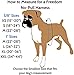 Freedom No-Pull Dog Harness Training Package, Large, Neon Orange